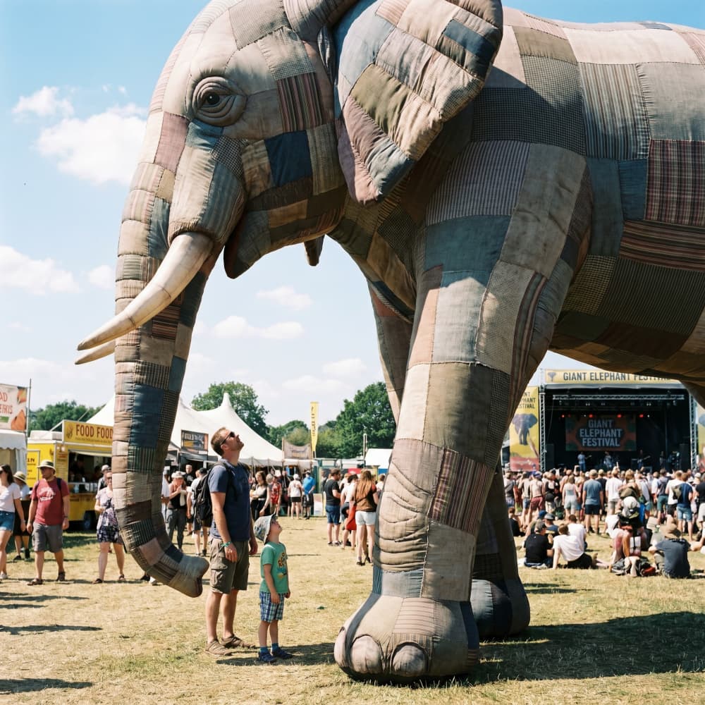 Inflatable Animals 2