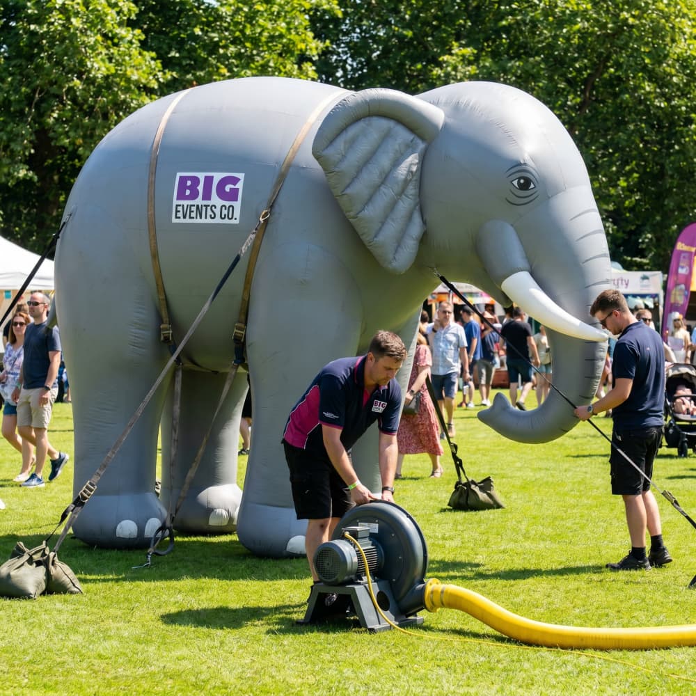 Inflatable Animals 4