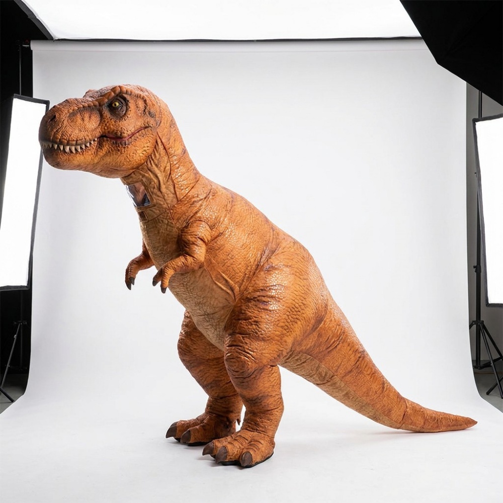 Inflatable Costume 21
